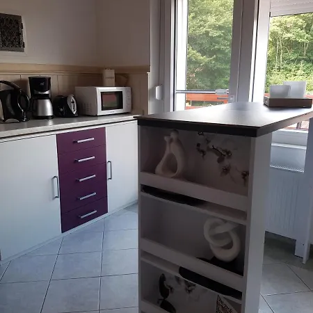 Waldidylle Apartment Friedrichsbrunn