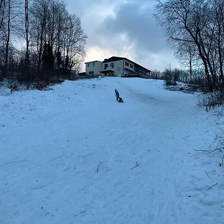 Waldidylle Appartement *