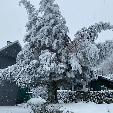 Appartement Waldidylle *