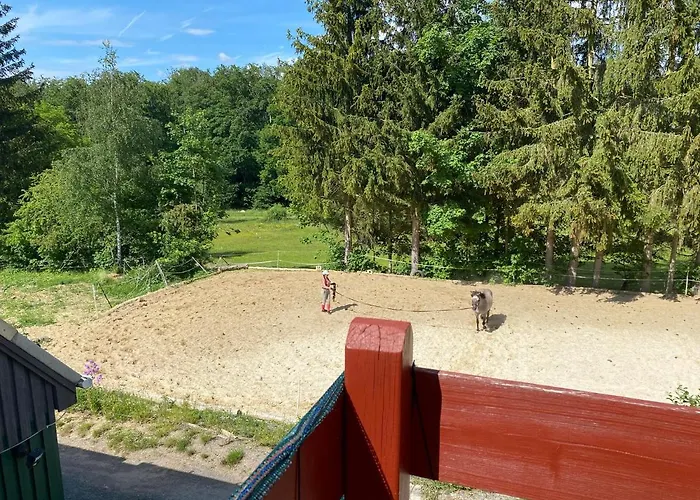 Lägenhet Waldidylle Friedrichsbrunn