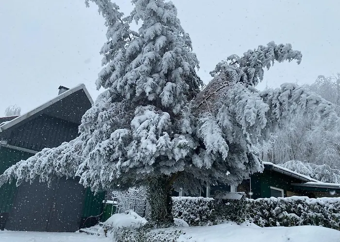 Lägenhet Waldidylle *